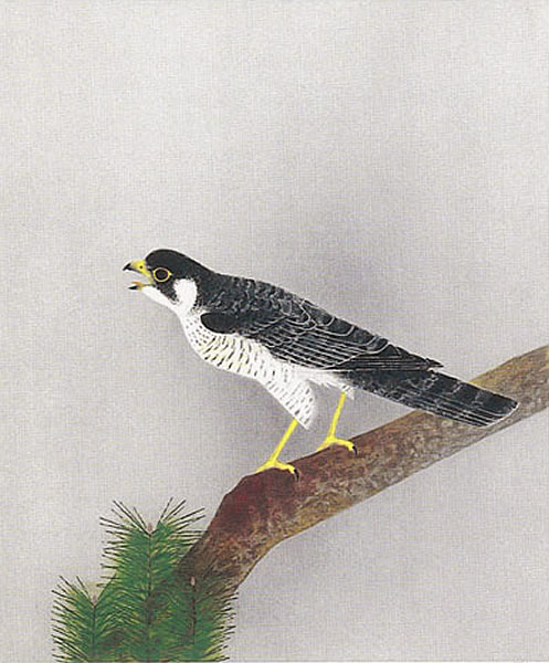 Falcon, lithograph by Atsushi UEMURA