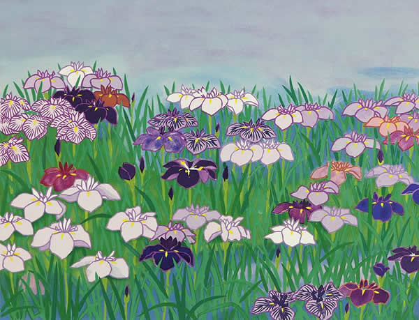 Japanese Iris paintings and prints by Chosei MIWA