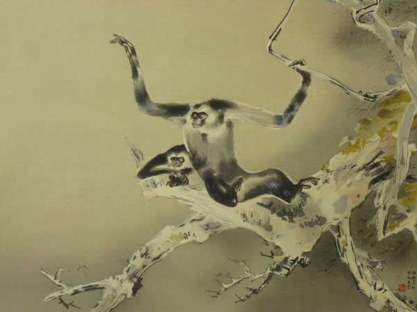 Japanese Monkey paintings and prints by Kansetsu HASHIMOTO