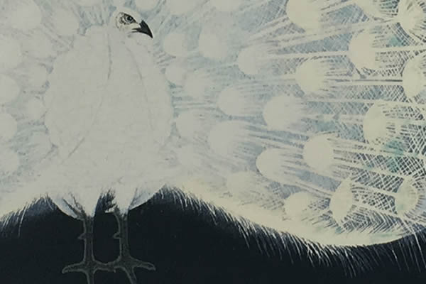 'Indian Peafowl' lithograph by Katashi OYAMA