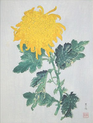 Japanese Chrysanthemum paintings and prints by Nanpu KATAYAMA