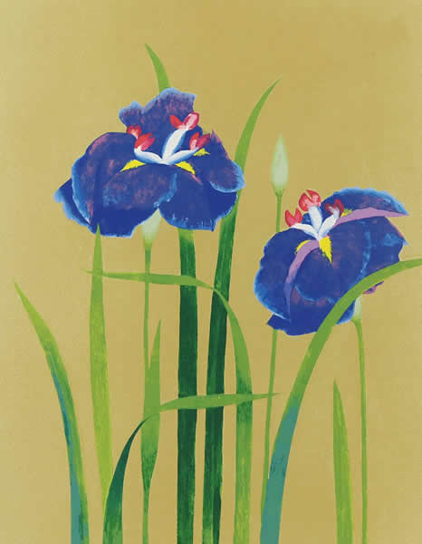Japanese Iris paintings and prints by Taiji HAMADA