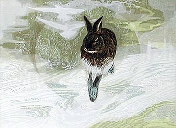 Japanese Rabbit or Hare paintings and prints by Yoshihiro SHIMODA
