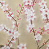 Japanese Peach Blossom paintings and prints
