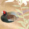 Japanese Pheasant paintings and prints