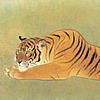 Japanese Tiger paintings and prints