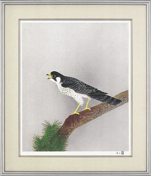 Frame of Falcon, by Atsushi UEMURA