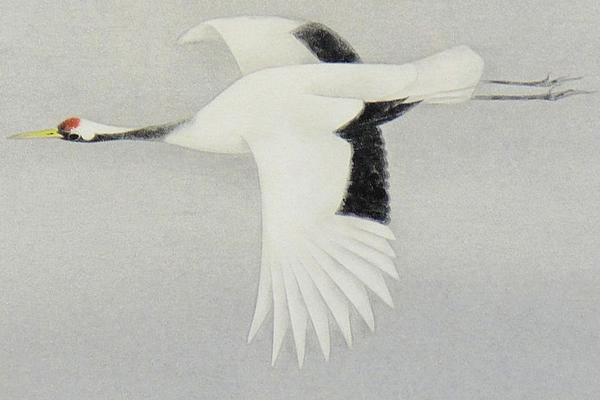 Detail of Flying, by Atsushi UEMURA