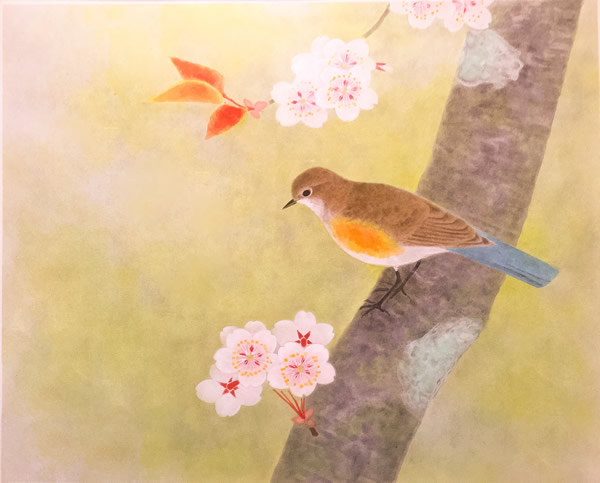 Japanese Sakura or Cherry Blossom paintings and prints by Atsushi UEMURA