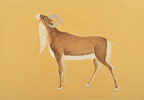Japanese Sheep paintings and prints by Atsushi UEMURA