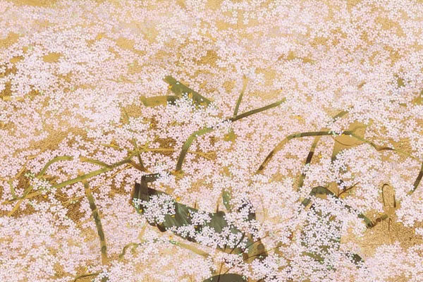 Detail of Early-flowering Cherry in Hocchi, by Chinami NAKAJIMA