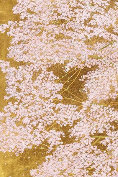 Detail of Early-flowering Cherry in Hocchi, by Chinami NAKAJIMA