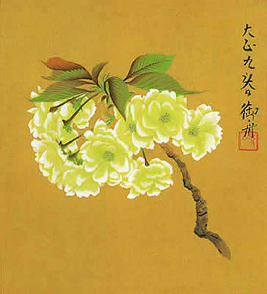 Cherry Blossom, woodcut by Gyoshu HAYAMI