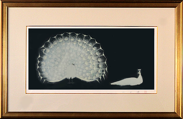 'Indian Peafowl' lithograph by Katashi OYAMA