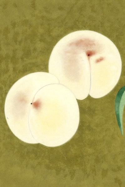 Detail of Peaches, by Kayo YAMAGUCHI