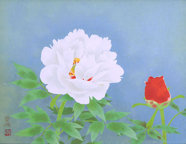 Japanese Peony paintings and prints by Kayo YAMAGUCHI