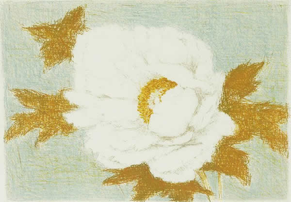 White Camellia, lithograph by Masataka OYABU