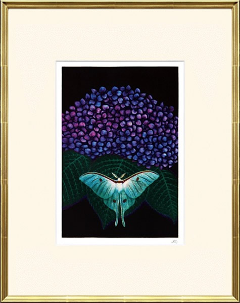 Frame of Hydrangea, by Matazo KAYAMA