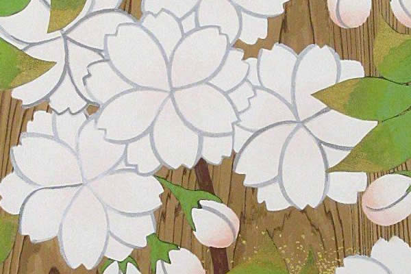 'Cherry Blossom' woodcut by Meiji HASHIMOTO