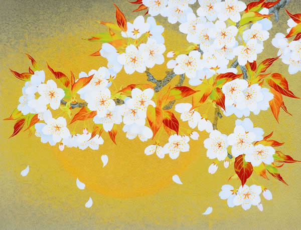 Japanese Sakura or Cherry Blossom paintings and prints by Rieko MORITA