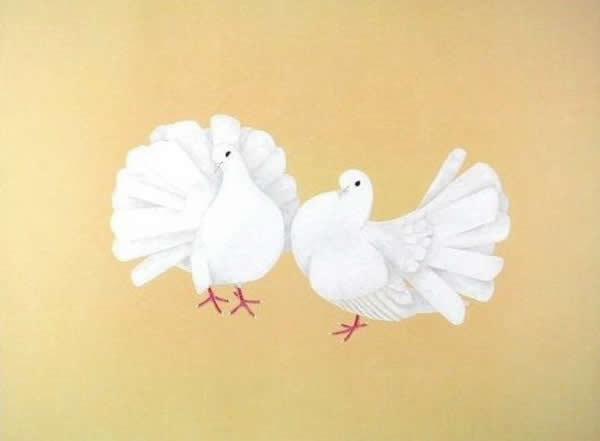 Japanese Pigeon or Dove paintings and prints by Shoko UEMURA