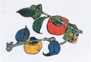 Japanese Fruit paintings and prints by Tamako KATAOKA