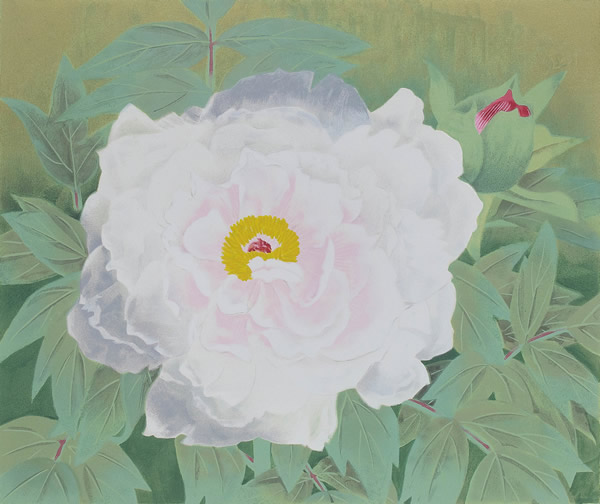 Peony, lithograph by Toshio MATSUO