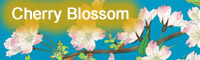 Japanese Sakura or Cherry Blossom paintings and prints