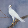 Japanese Hawk or Falcon paintings and prints