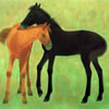 Japanese Horse paintings and prints