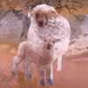 Japanese Sheep paintings and prints